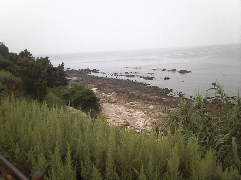 养马岛